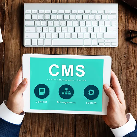 CMS Open Source